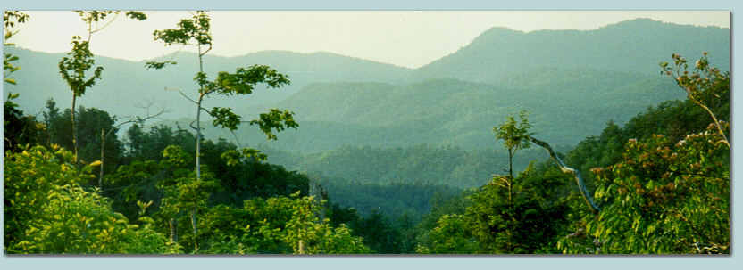 Blowing Rock North Carolina  land  for sale by owner. 86 Country acres, land is clear and commercially usable, Located just 3.5 miles south of the historical and prestigious town of Blowing Rock,  North Carolina.