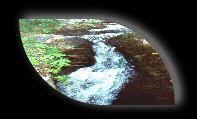 NC real estate Blowing Rock North Carolina  land  for sale by owner. 86 Country acres, land is clear and commercially usable, Located just 3.5 miles south of the historical and prestigious town of Blowing Rock,  North Carolina.